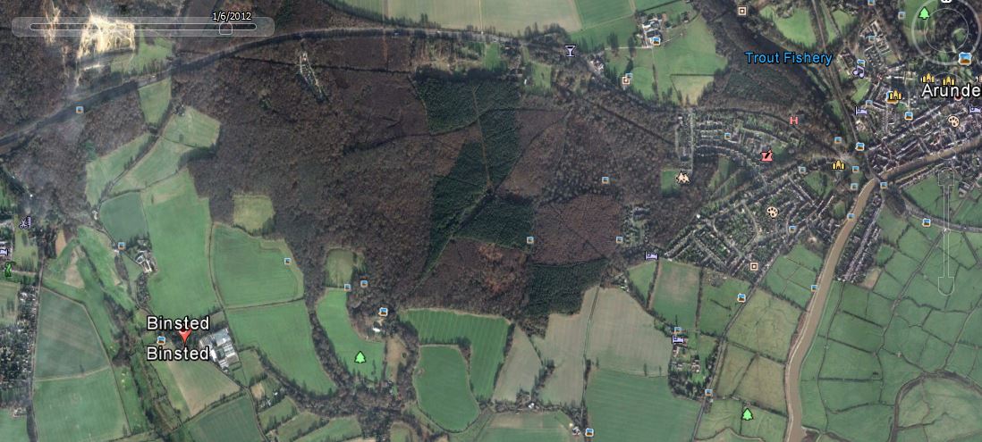 Tortington Common ancient woodland is seen in this aerial photo to have many deciduous trees around and among its temporary coniferous plantation